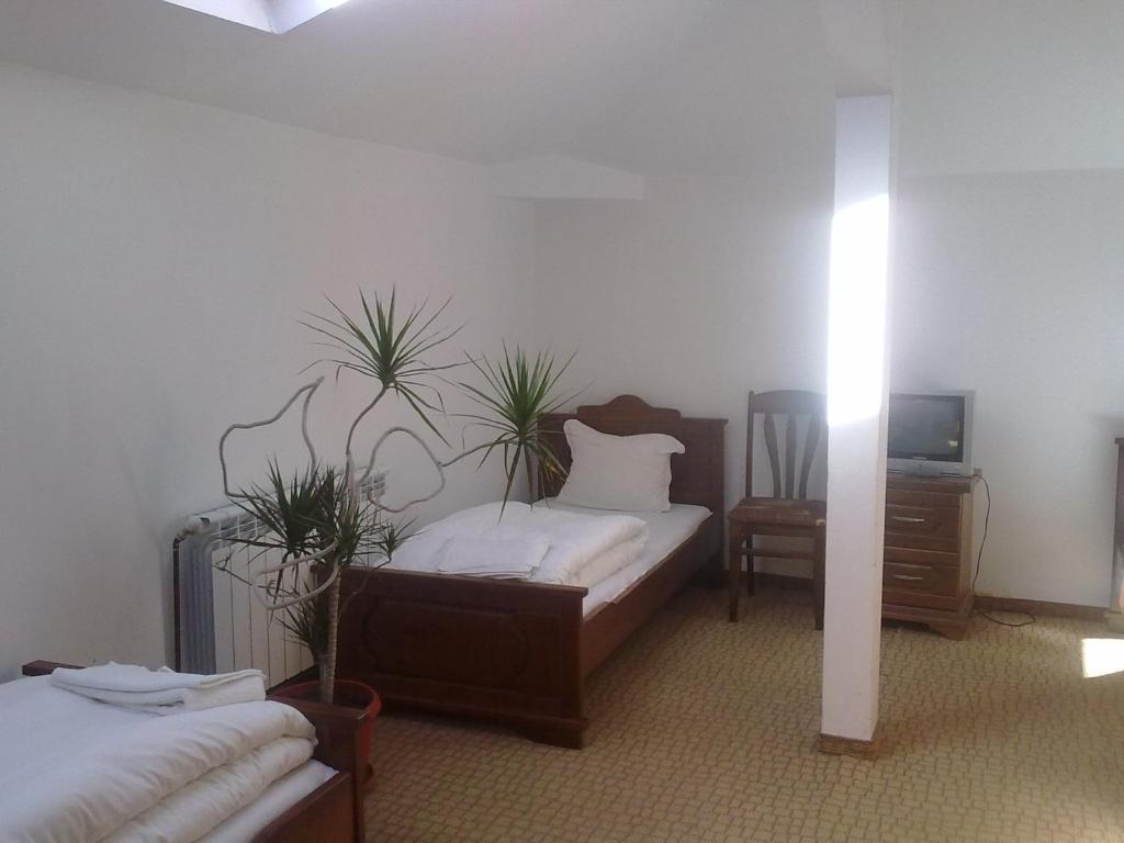 Guest House Todorini Kashti Koprivsjtitsa Rom bilde