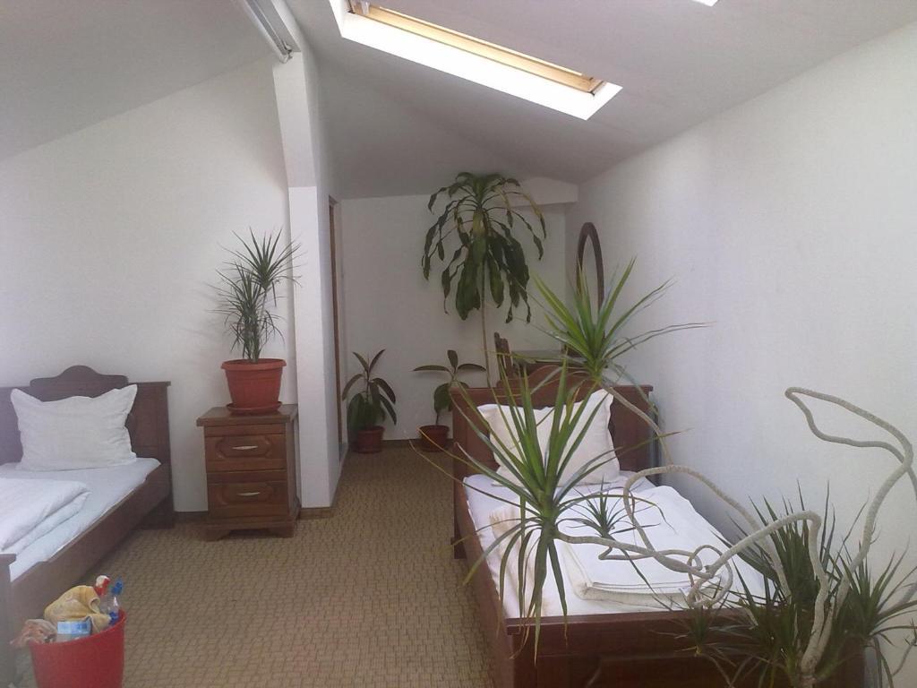 Guest House Todorini Kashti Koprivsjtitsa Rom bilde